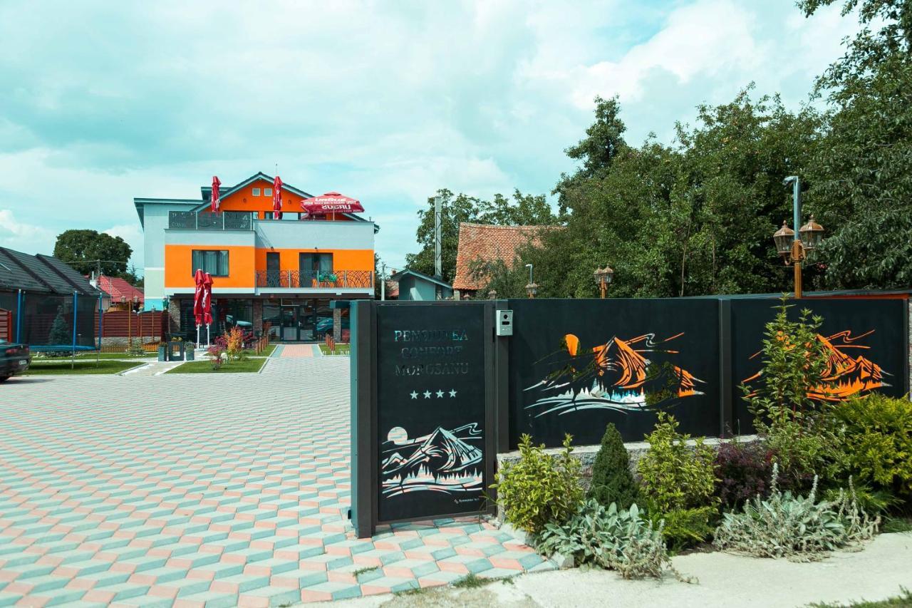 Pensiune Confort Morosanu Sinca Veche Exterior photo